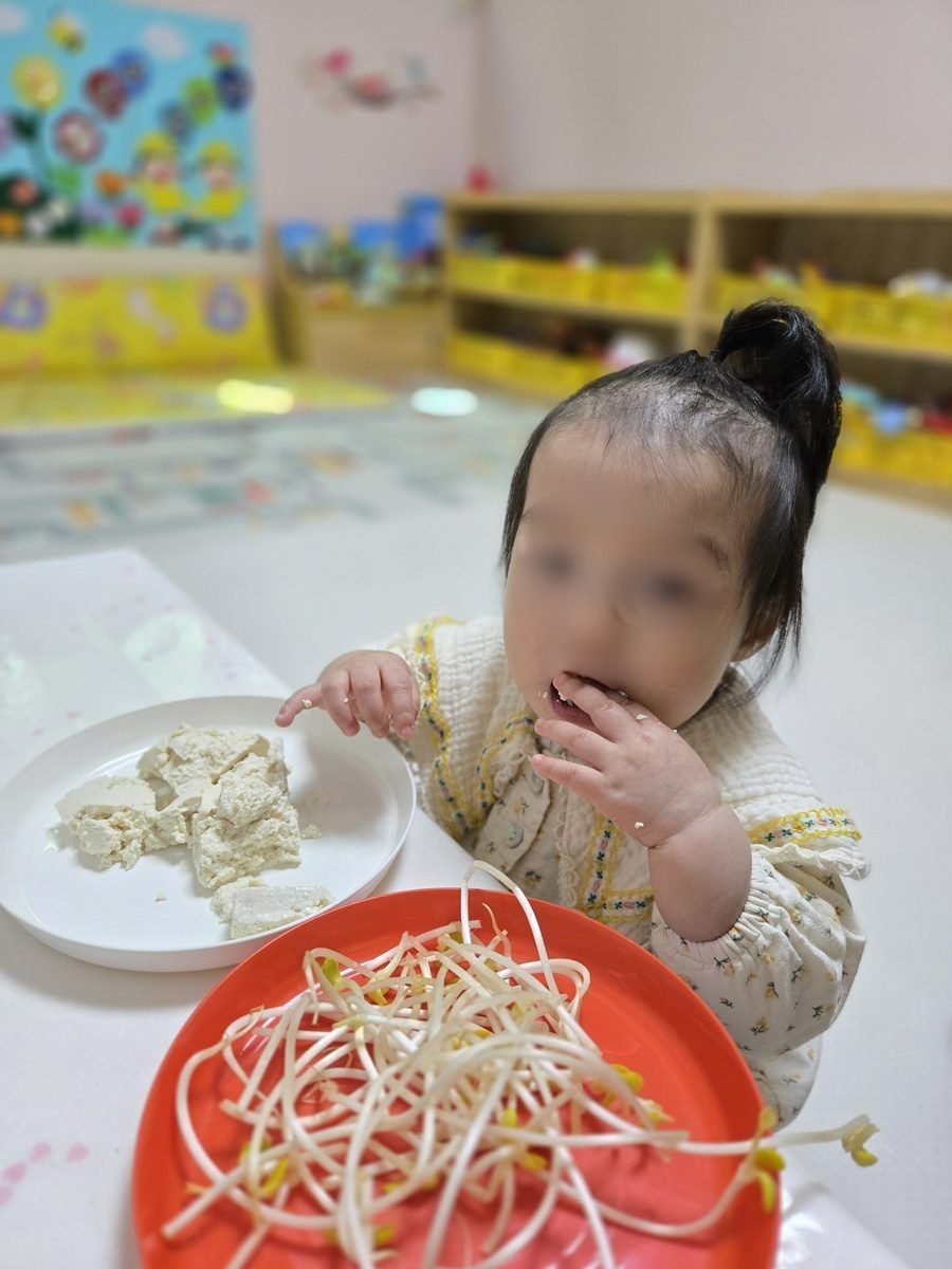 말랑말랑 두부와 아삭아삭 콩나물 탐색